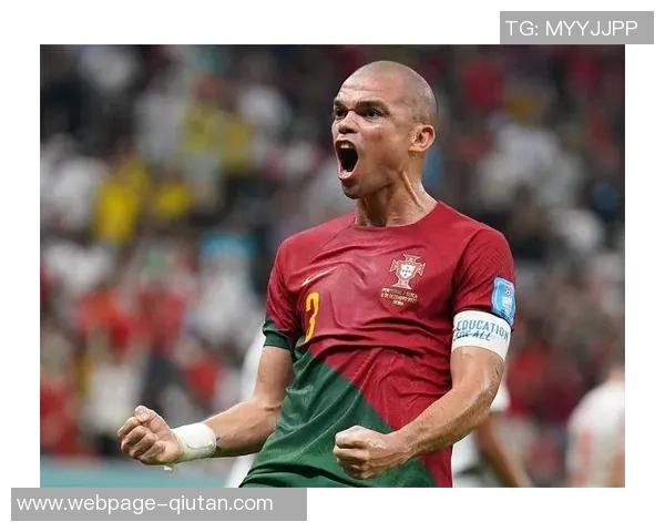 德国对战葡萄牙佩佩表现分析与比赛精彩瞬间回顾